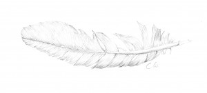 feather artwork