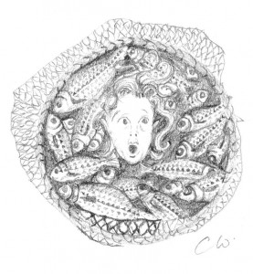 net of fishes crop